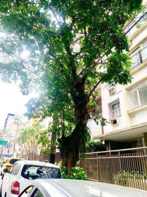 Praia D Leblon Com Elegancia E Conforto Apartamento Rio de Janeiro
